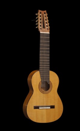 Ten strings guitar front